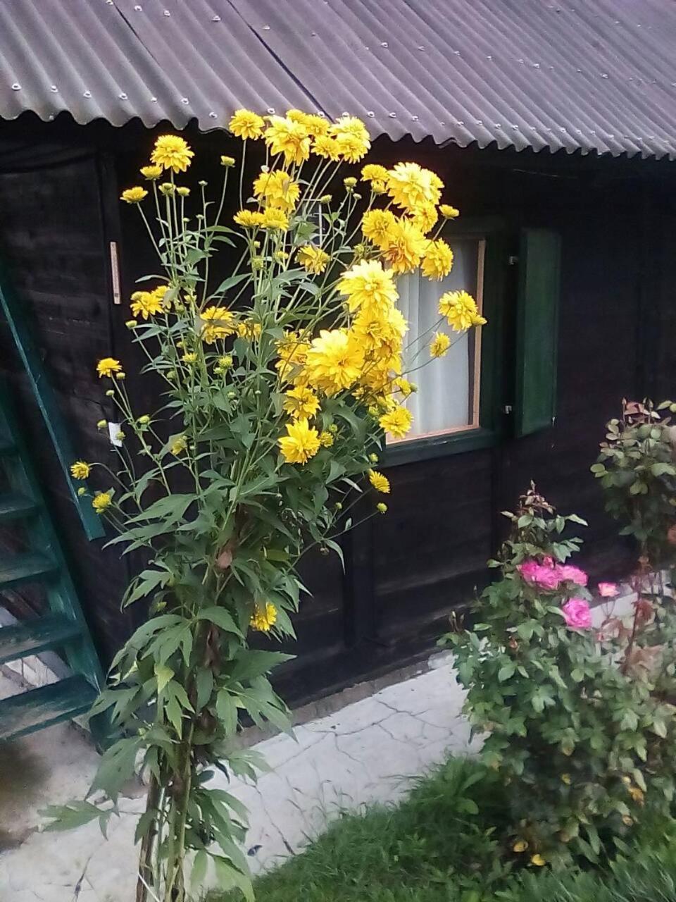 Holiday Home Vila Milka Kremna Eksteriør billede